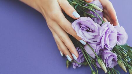 Woman with beautiful manicured nails covered with modern purple nail varnish, enamel or lacquer displaying her fingers alongside a eustoma.の写真素材