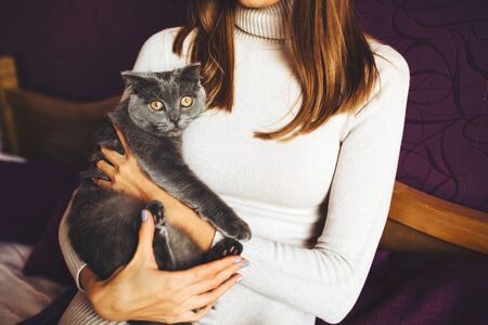 Beautiful young girl holds a fluffy gray cat near her face, home comfort and calm, good mood. Love to the animalsの写真素材