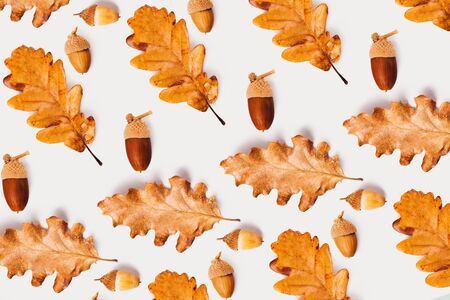 Autumn fall leaves pattern on white isolaited background.の写真素材