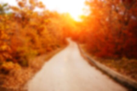 Sunrise in autumn forest. Tilt-shift lens. Blur.の写真素材
