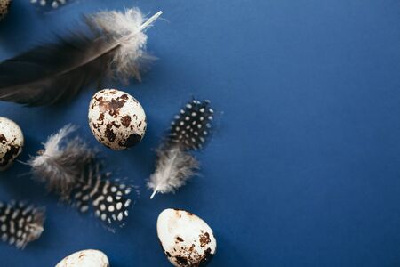 Beautiful group ombre blue Easter eggs with quail eggs and feathers on a blue background. Easter...