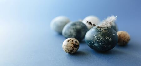 Beautiful group ombre blue Easter eggs with quail eggs and feathers on a blue background. Easter concept. Border eggs. Copy space for textの写真素材