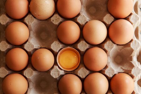 chicken eggs with broken egg in a paper tray. close-up. space for text