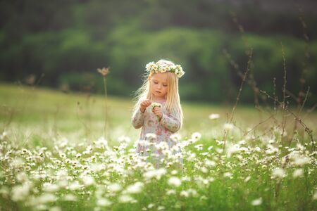 Little beautiful girl runs on the street or in the park laughing, across the field. sunset light, childhood. Emotional portrait of a happy and kind girl with wavy hair looking with a smile while sitting in a field of daisies in the sunset rays during summer vacation.の写真素材