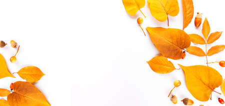 Banner Autumn composition. Frame made of autumn leaves, acorn, pine cones on white background. Flat lay, top view, copy spaceの写真素材