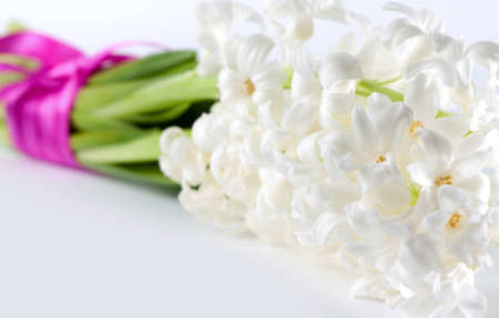 Fresh white spring Hyacinth with a decorative ribbon conceptual of purity and loveの写真素材