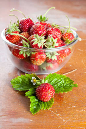 Glass bowl filled with freshly harvested ripe red strawberries with their stalks still attached with one strawberry on leaves in the foregroundの写真素材