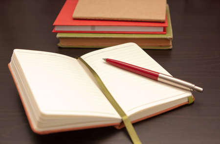 Open notebook with a ballpoint pen resting on a blank double page for your text, shallow depth of...