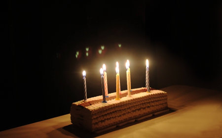 A festive ice cream cake with candles, a holiday, a birthday.の写真素材