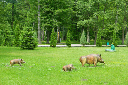 Beautiful green, well-groomed park with wooden figures of pigsの写真素材
