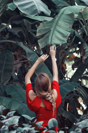 Young female in red dress and braided hairstyle standing in tropical forest near big banana leaves. Fine art photo. Conceptualの写真素材