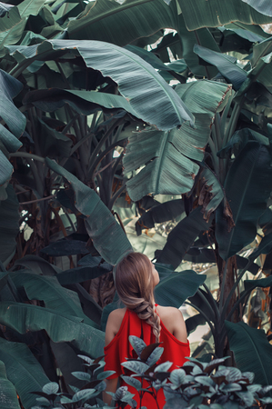 Young woman in red dress standing in tropical forest and looking at big banana leaves. Fine art and conceptual photoの写真素材