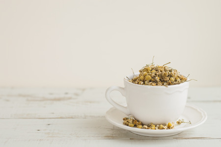Background with white tea cup filled with dried chamomile flowers. Healthy herbsの写真素材