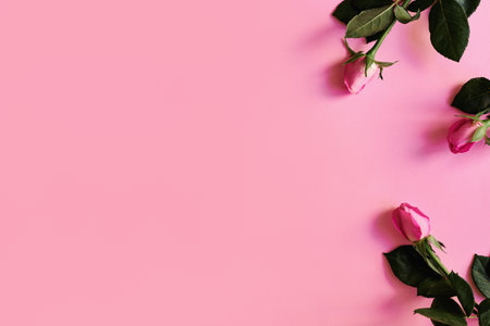 Three rose flowers on pastel pink background, top view, copy space. Mother's Day, International Women's Day or Birthday card conceptの写真素材