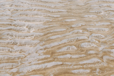 Beach sand during low tide early in the morning. Sand texture background
