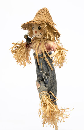 scarecrow doll on white backgroundの写真素材