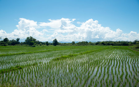 sky and mountains in asiaの写真素材