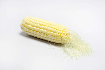 Hokkaido sweet corn on a white backgroundの写真素材