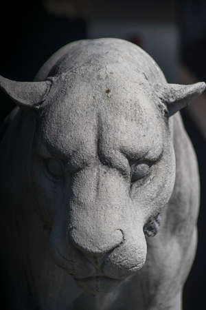 lion statue in the gardenの写真素材