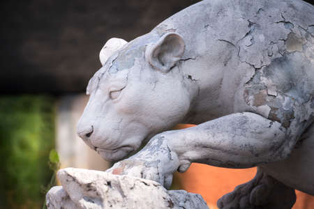 lion statue in the gardenの写真素材