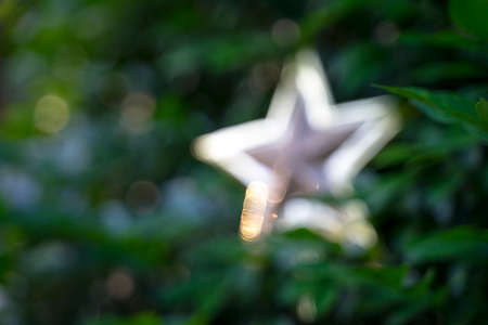 Wishing for Christmas decorations