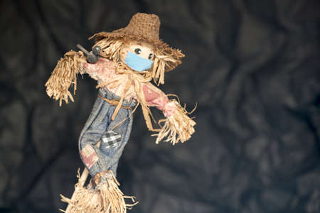 Scarecrow doll wearing a blue maskの写真素材