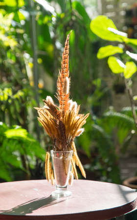 dried grass flowers in a vase on the tableの写真素材