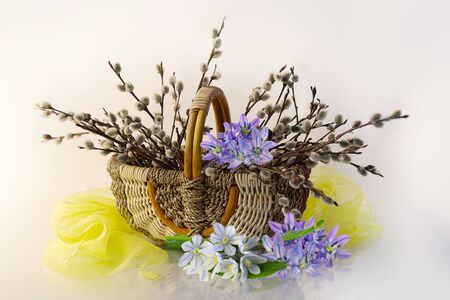 Bouquet of beautiful spring flowers in a vase.Spring flowers in still lifes.の写真素材
