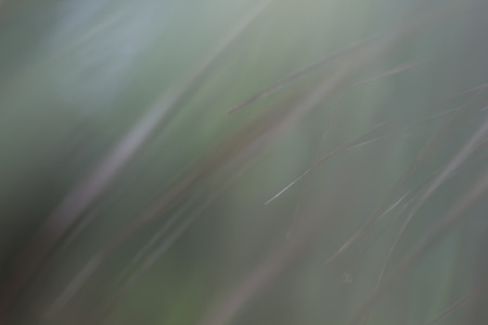 gray color abstract background.の写真素材