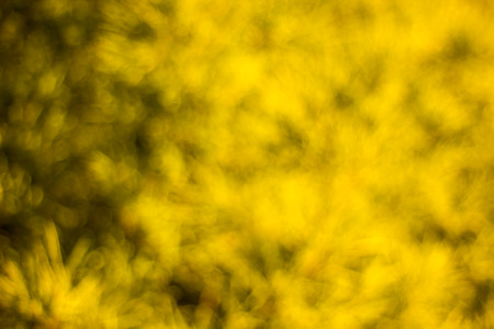 golden color backgroundの写真素材