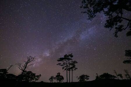 The night sky has a Milky Way with stars and a dark shadow of trees in the foreground.