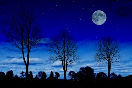 nightの写真素材