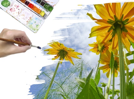 hand painting yellow flowers and blue skyの写真素材