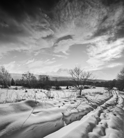 a path in winter snowy landscape の写真素材