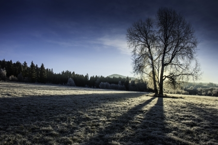 sunny winter morningの写真素材