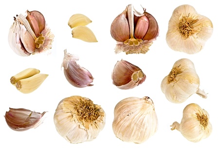 garlic collectionの写真素材
