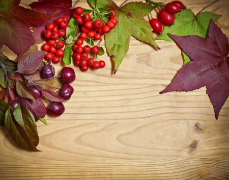 fall backgroundの写真素材
