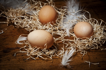 eggs from farmの写真素材