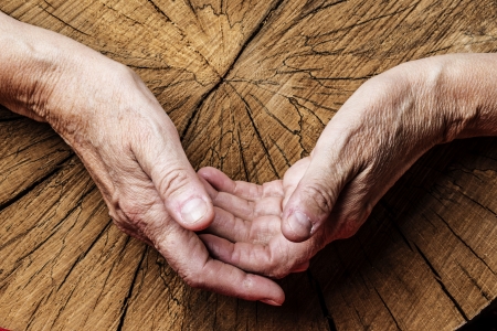 old elderly hands and old treeの写真素材
