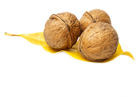 walnuts on a white backgroundの写真素材