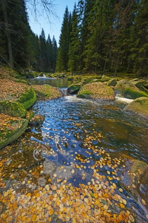 river with yellow autumn foliageの写真素材
