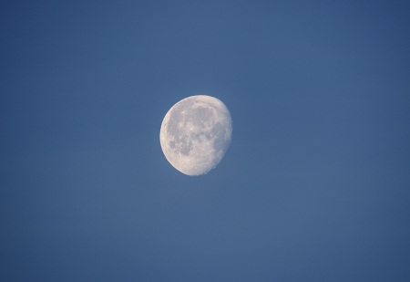 moon on a morning skyの写真素材