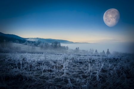 fogy winter morningの写真素材