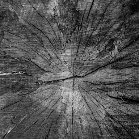 wood texture