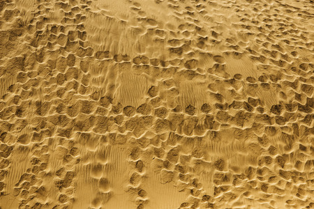 beach with marks - footprints - background