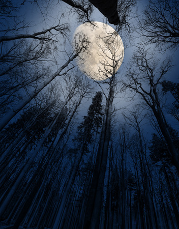 nightの写真素材