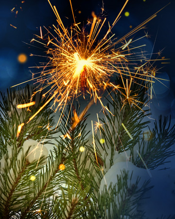 snow covered tree and sparklerの写真素材