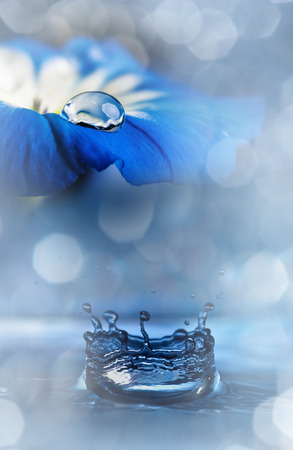 blue flower with a dew dropの写真素材