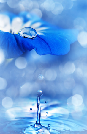 blue flower with a dew dropの写真素材