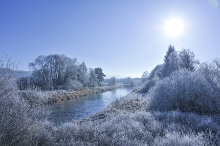 winterの写真素材